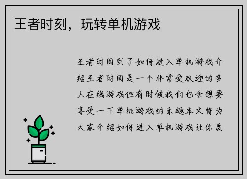 王者时刻，玩转单机游戏